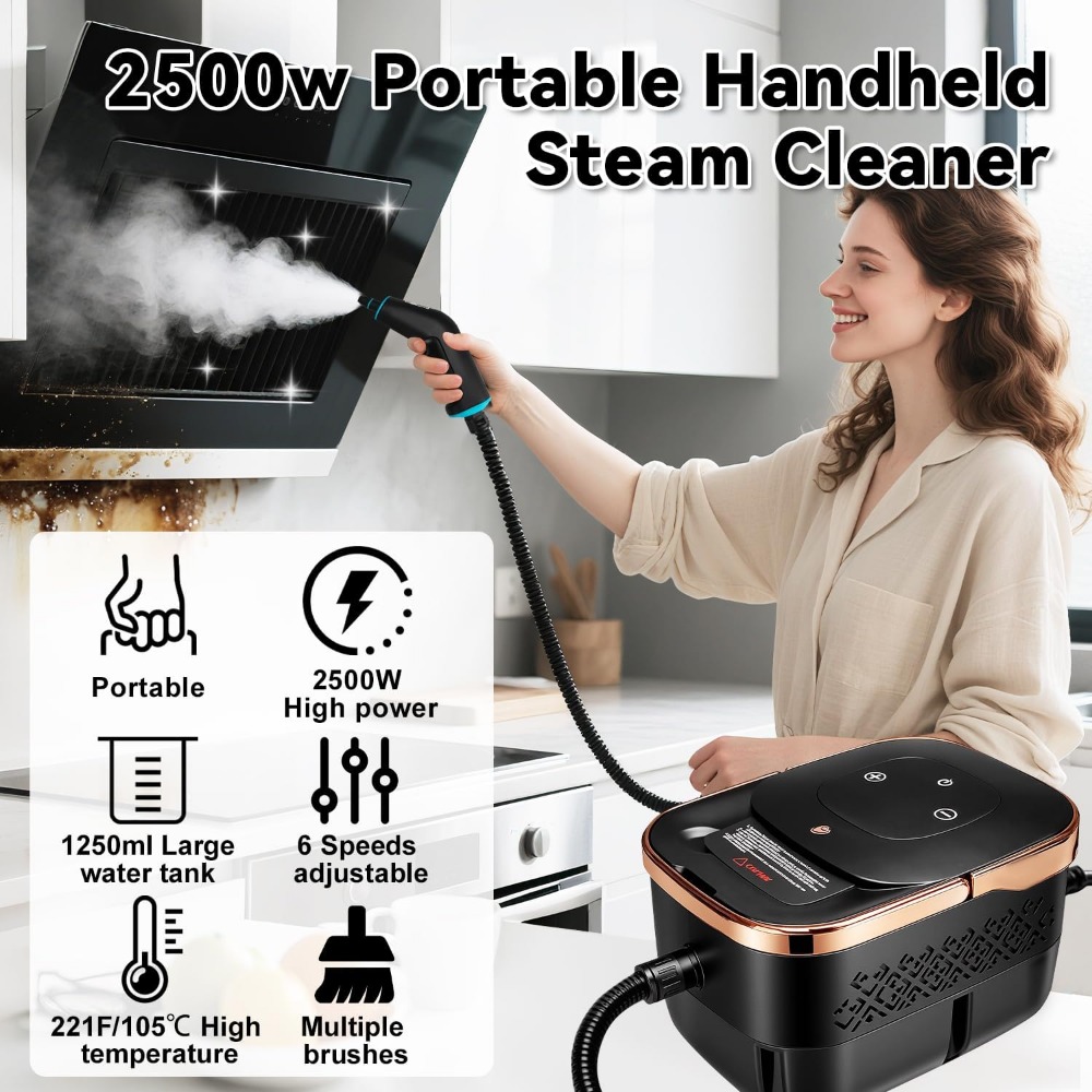 2500W Tragbarer Dampfreiniger, – Home Bathroom Images Bewertung und Preis